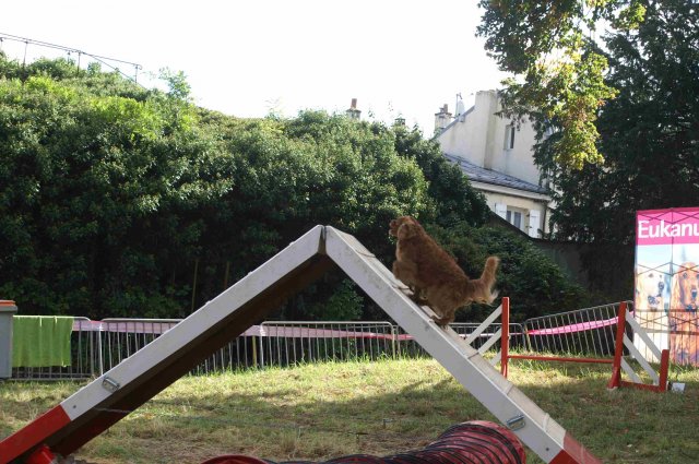 foire-haricots 2011-09-17et18